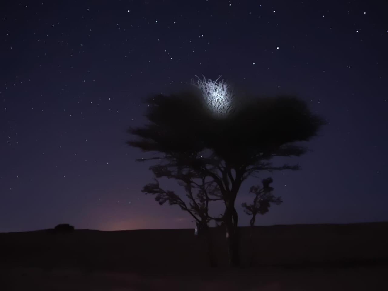 Tuareg Luxury Camp Hotel Merzouga Luaran gambar